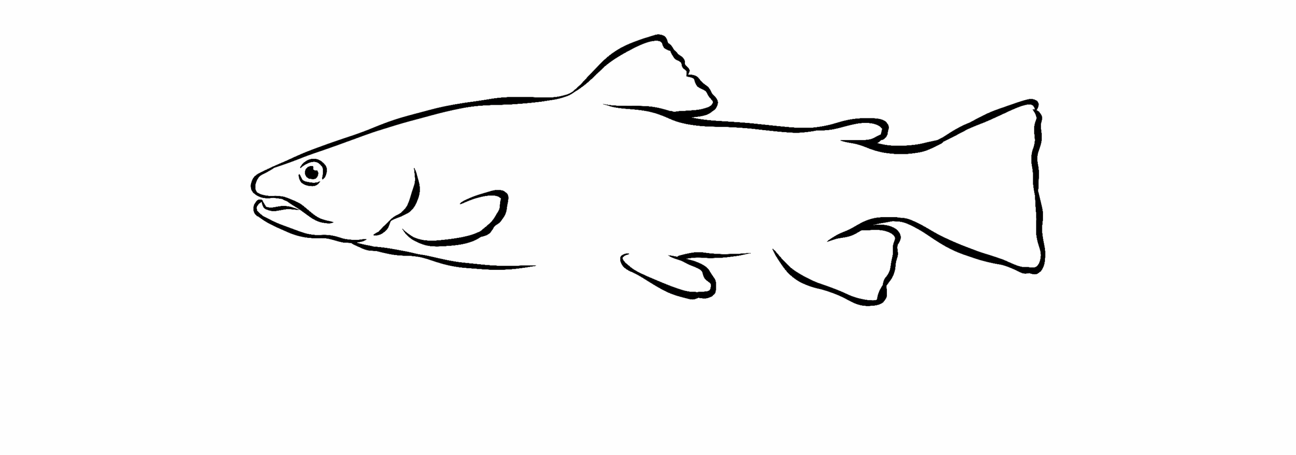Fischereiverein Albaxen e.V.