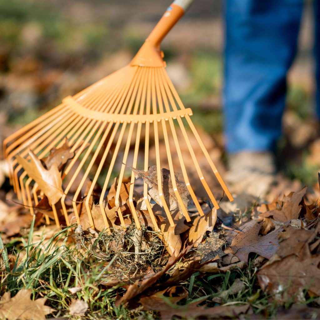 Arbeitseinsatz-fv-albaxen