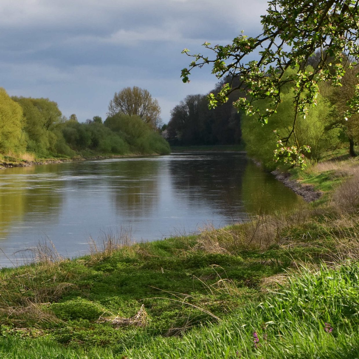 Gewässer fv albaxen