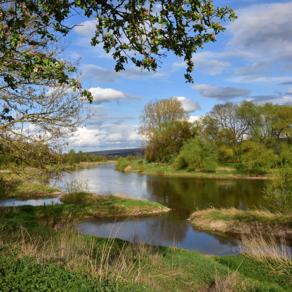 Gewässer_stromangeln_fv albaxen