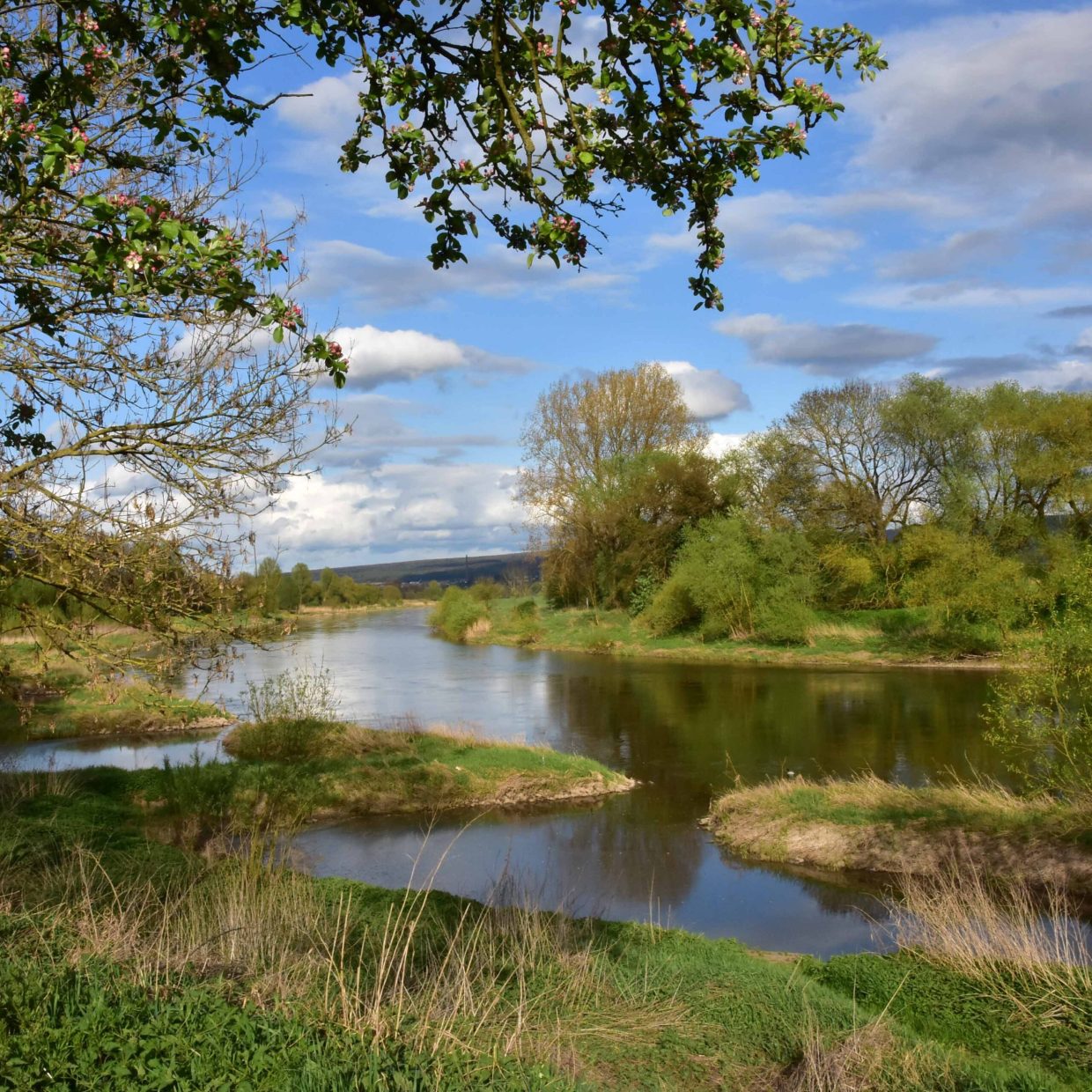 Gewässer_stromangeln_fv albaxen